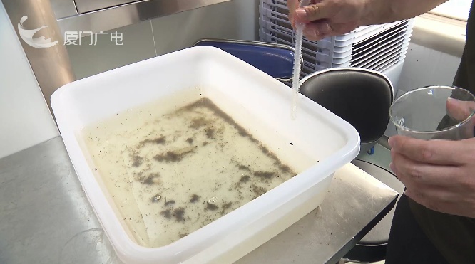 厦门这群人养了几万只蚊子！原因竟是......