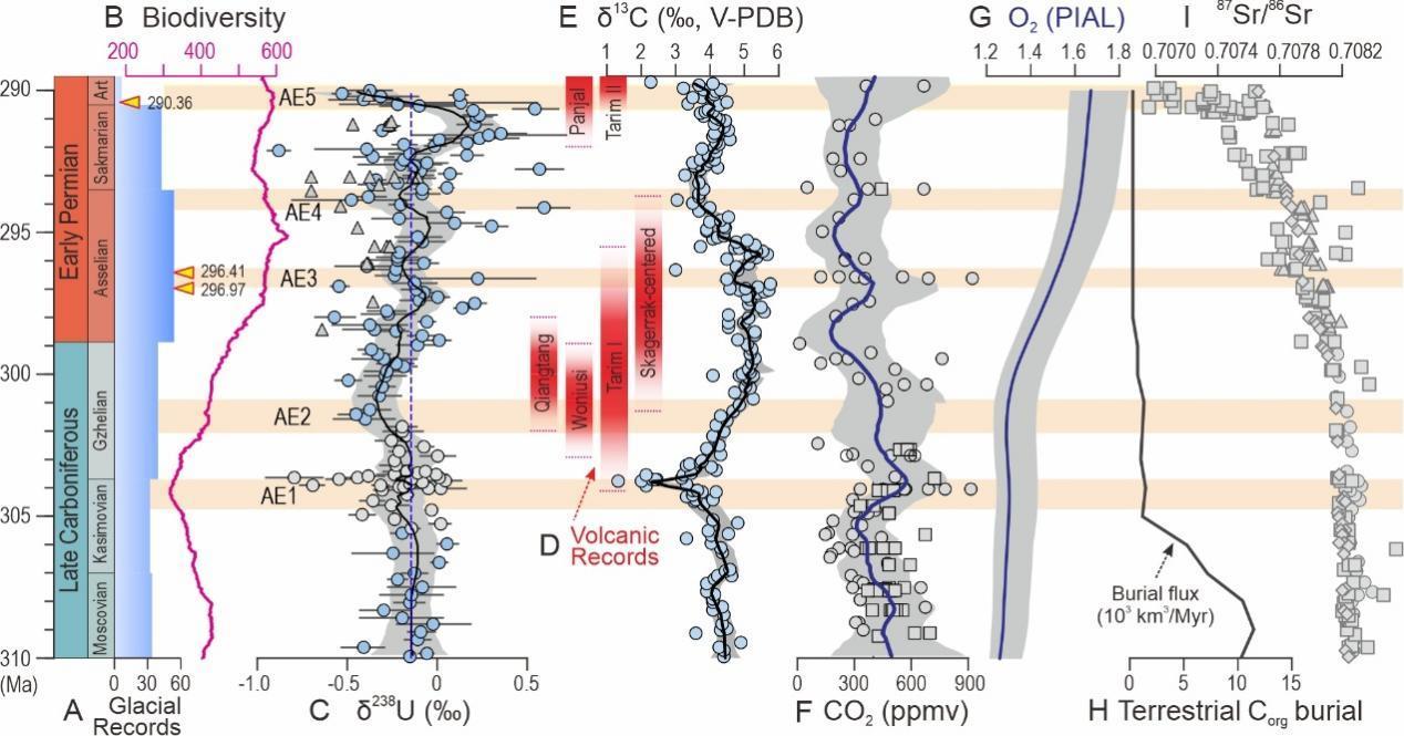 全球变暖竟让海洋缺氧 3亿年前气候状态警示危机