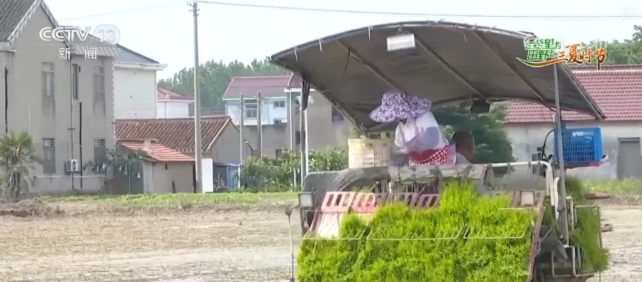 传统农业从“靠天吃饭”变“数据种田” 科技驱动“三夏”生产“加速跑”