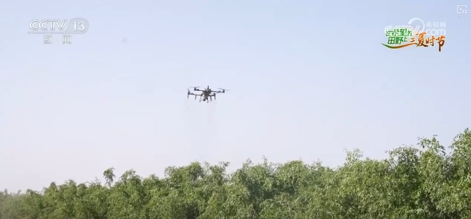 传统农业从“靠天吃饭”变“数据种田” 科技驱动“三夏”生产“加速跑”