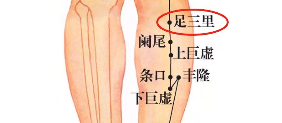 学学古人的8种养生方法
