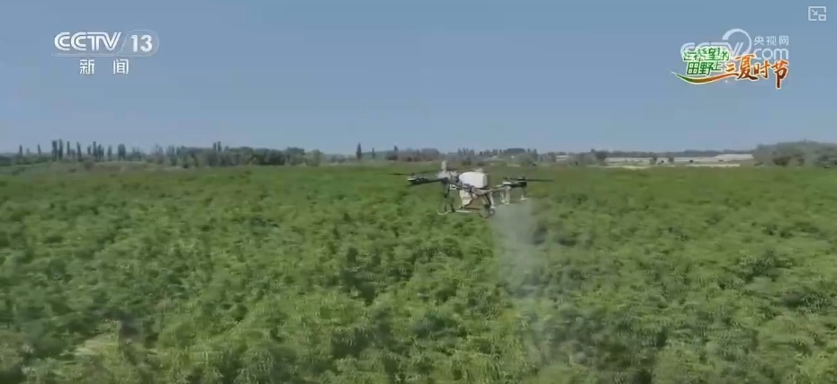 传统农业从“靠天吃饭”变“数据种田” 科技驱动“三夏”生产“加速跑”