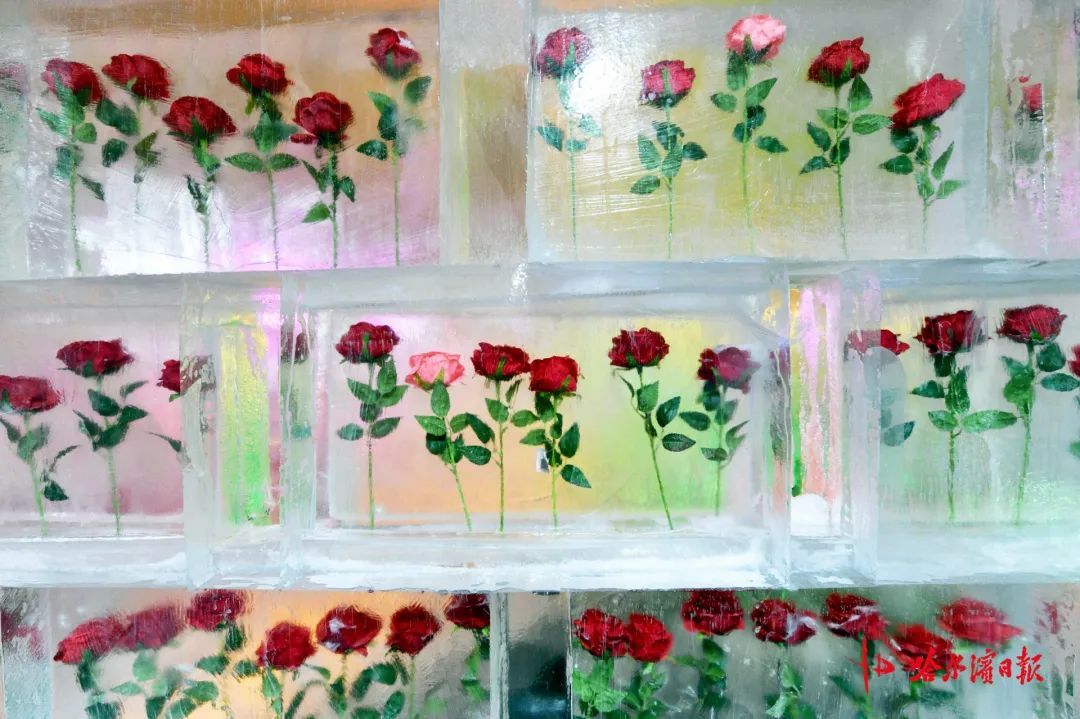 夏日,来中央大街赏冰雕 夏日,来中央大街赏冰雕