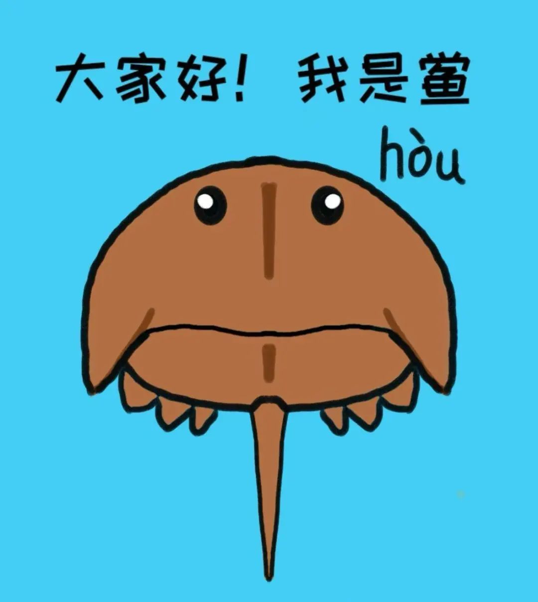 鲎:初号机真的好用 鲎:初号机真的好用