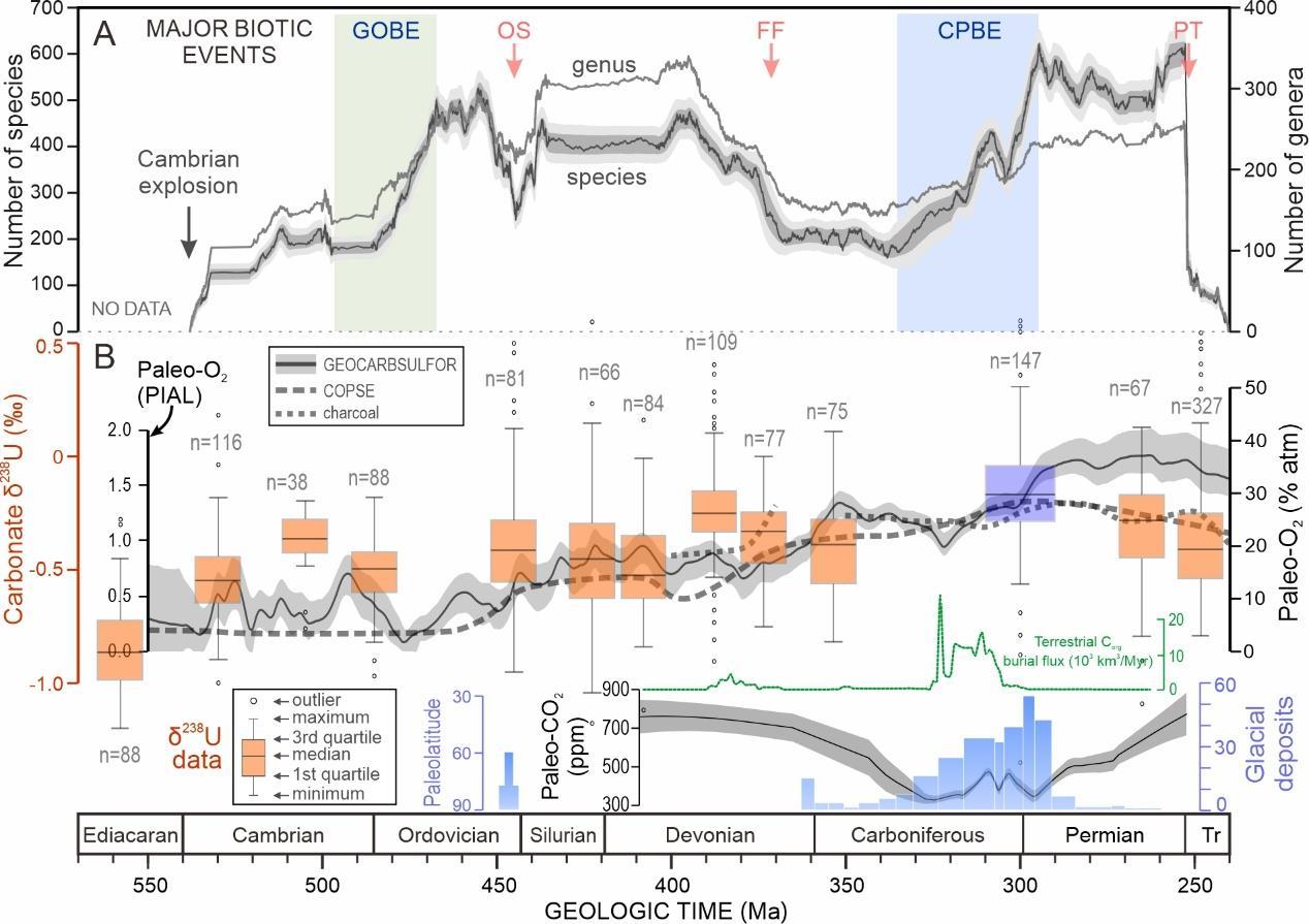 全球变暖竟让海洋缺氧 3亿年前气候状态警示危机