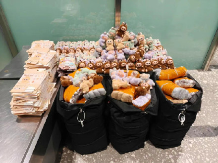 952个盗版泡泡玛特玩偶全被扣留