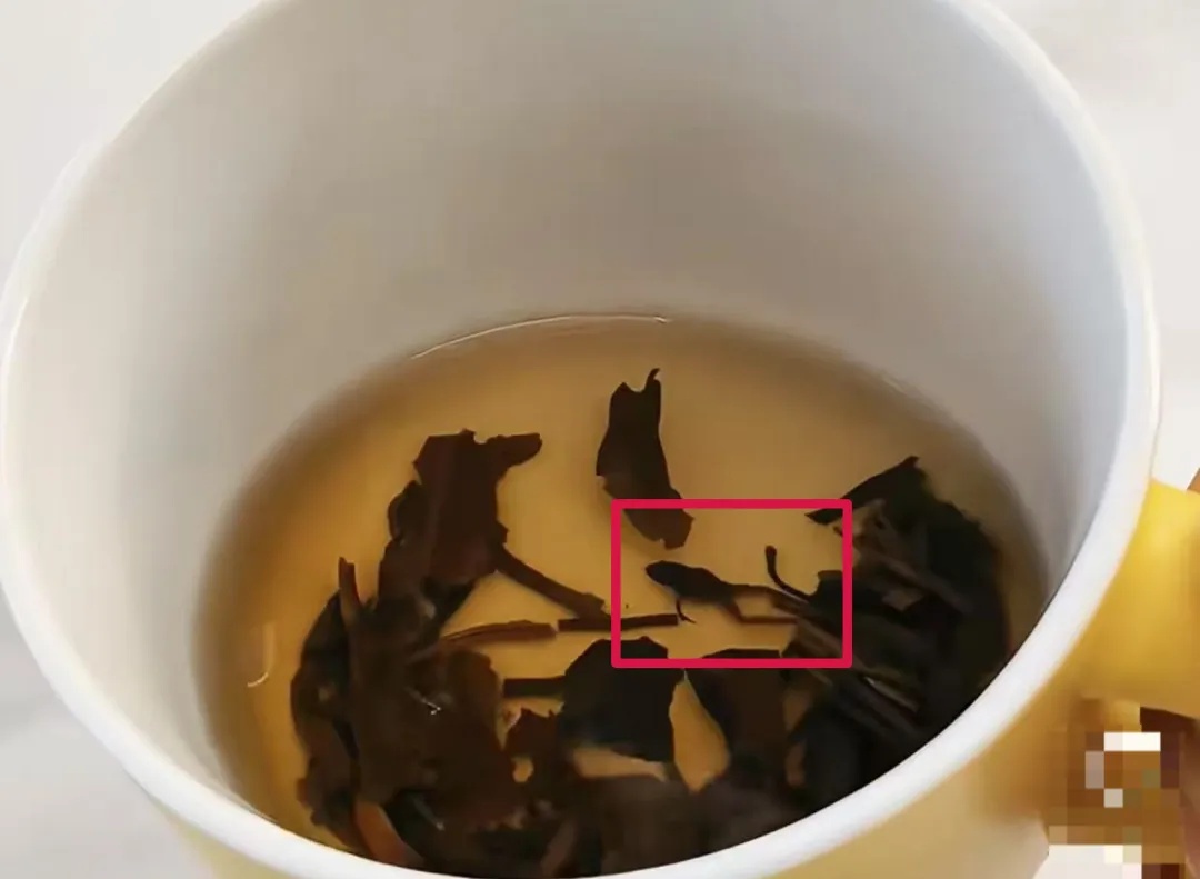 奈雪被曝“喝出整只青蛙”!当事人:监管部门已介入! 奈雪被曝“喝出整只青蛙”!当事人:监管部门已介入!