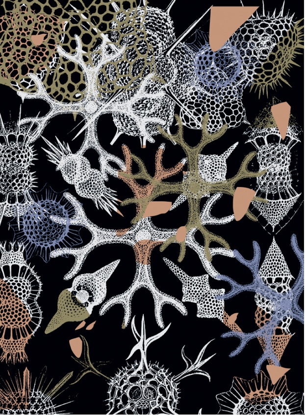 蝌学荐书 | 龚古尔文学奖得主x千万级销量绘本作者x资深地质学家合著!buff直接拉满的神作! 蝌学荐书 | 龚古尔文学奖得主x千万级销量绘本作者x资深地质学家合著!buff直接拉满的神作!