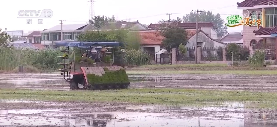 传统农业从“靠天吃饭”变“数据种田” 科技驱动“三夏”生产“加速跑”
