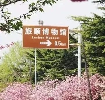 “东北大马路”到底该咋翻译？