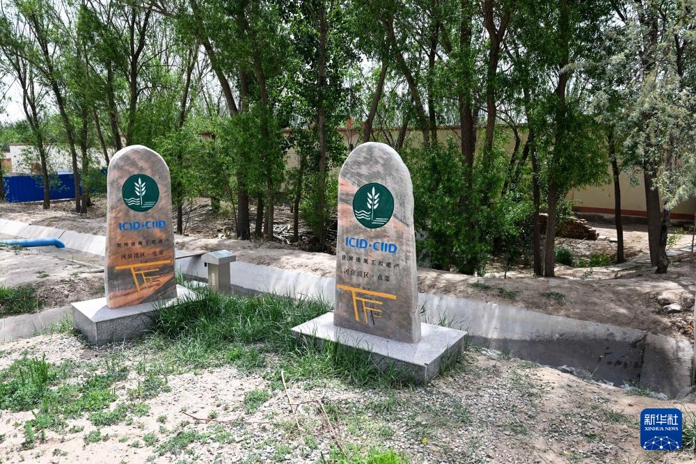 中国之城丨巴彦淖尔:黄河“几字弯”顶端上的北国江南 中国之城丨巴彦淖尔:黄河“几字弯”顶端上的北国江南