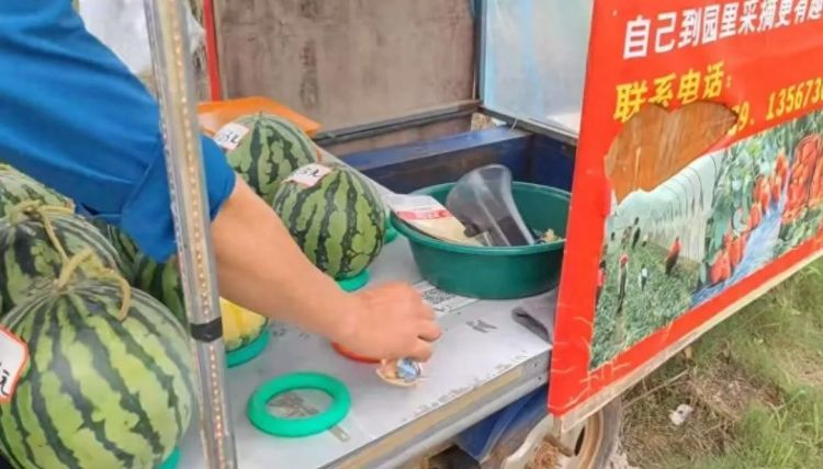 南京一无人瓜摊6年零逃单，摊主：会抹零，无条件退换，有顾客买过两百多次