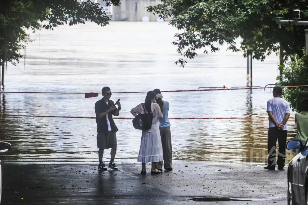 或将出现84米!强降雨持续!柳州市区河段水位再次超警 或将出现84米!强降雨持续!柳州市区河段水位再次超警