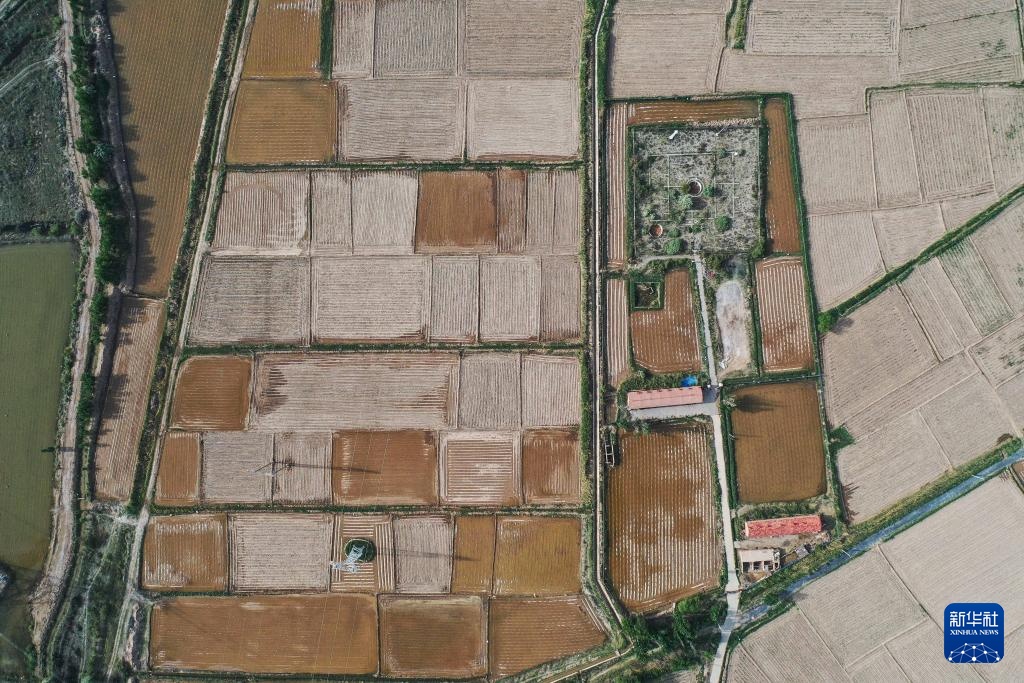 中国之城丨巴彦淖尔:黄河“几字弯”顶端上的北国江南 中国之城丨巴彦淖尔:黄河“几字弯”顶端上的北国江南