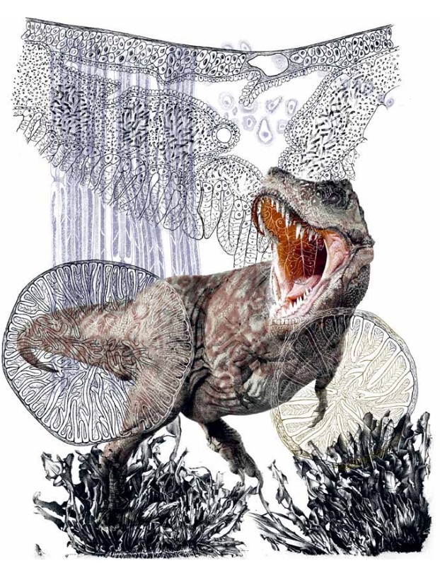 蝌学荐书 | 龚古尔文学奖得主x千万级销量绘本作者x资深地质学家合著!buff直接拉满的神作! 蝌学荐书 | 龚古尔文学奖得主x千万级销量绘本作者x资深地质学家合著!buff直接拉满的神作!