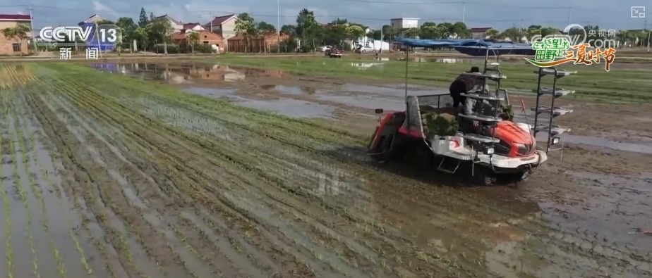 传统农业从“靠天吃饭”变“数据种田” 科技驱动“三夏”生产“加速跑”