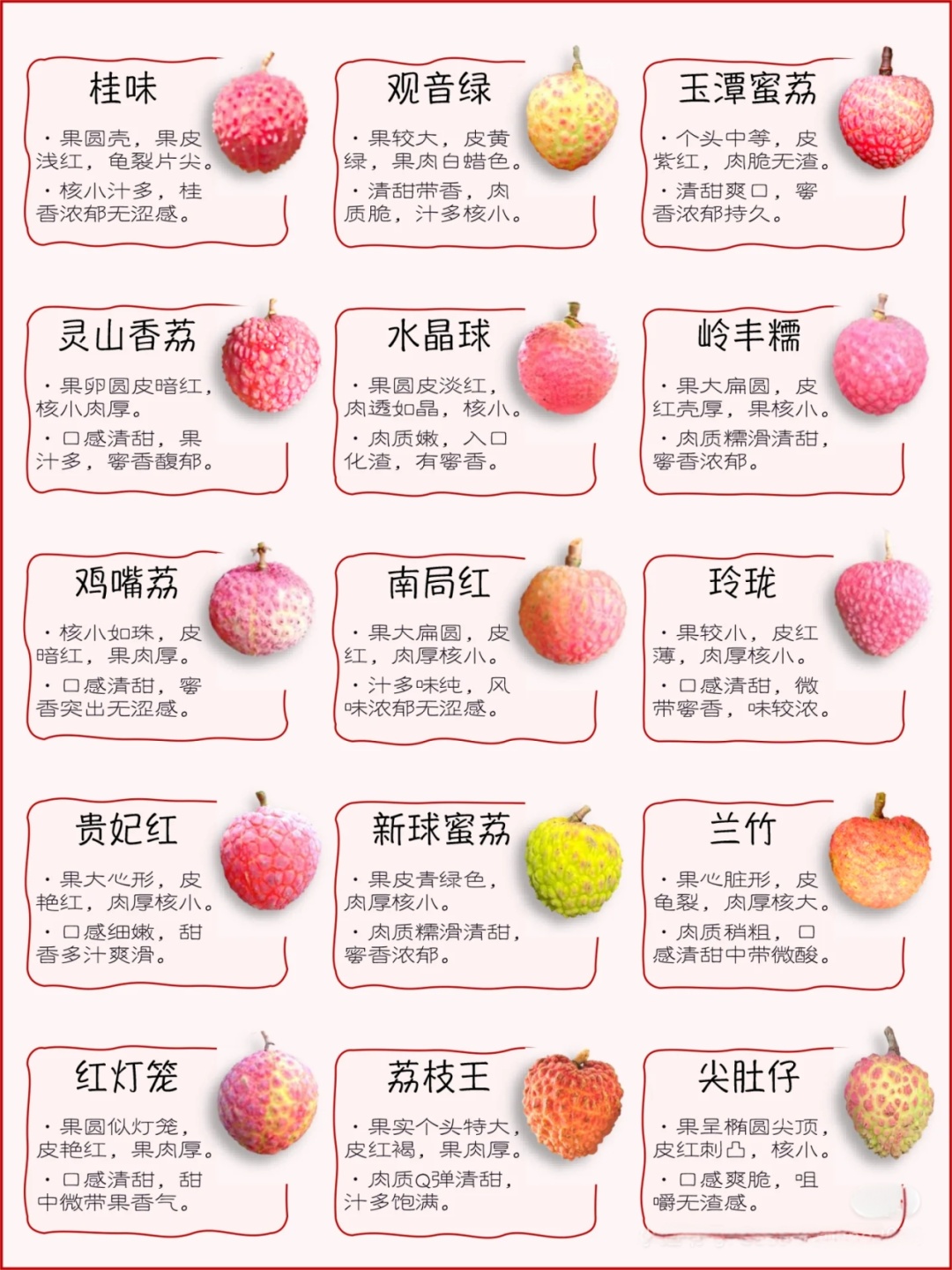 《长安的荔枝》播完了，今天来聊聊荔枝那些事儿
