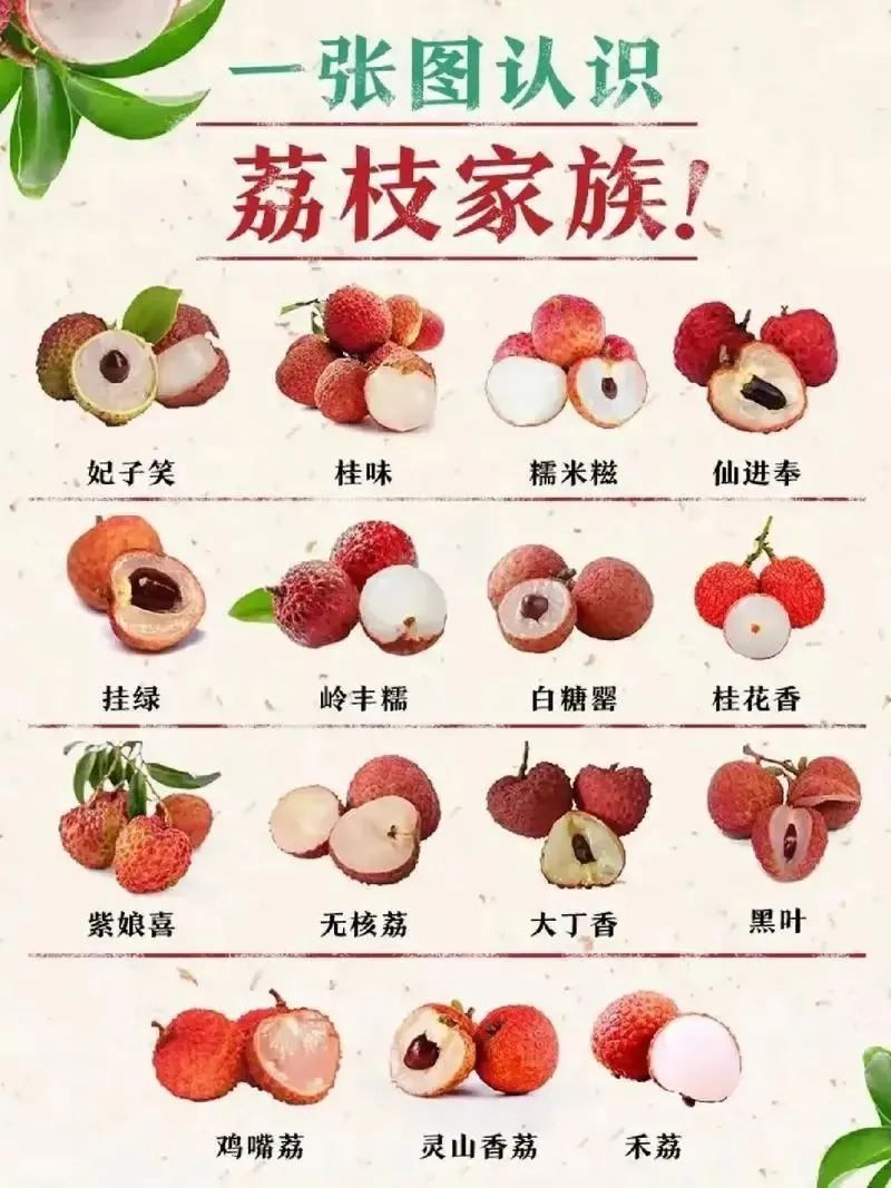 《长安的荔枝》没夸张，荔枝在古代真的超级名贵！