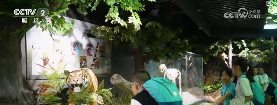“百兽之王”变身文旅IP 沉浸式体验带火生态游