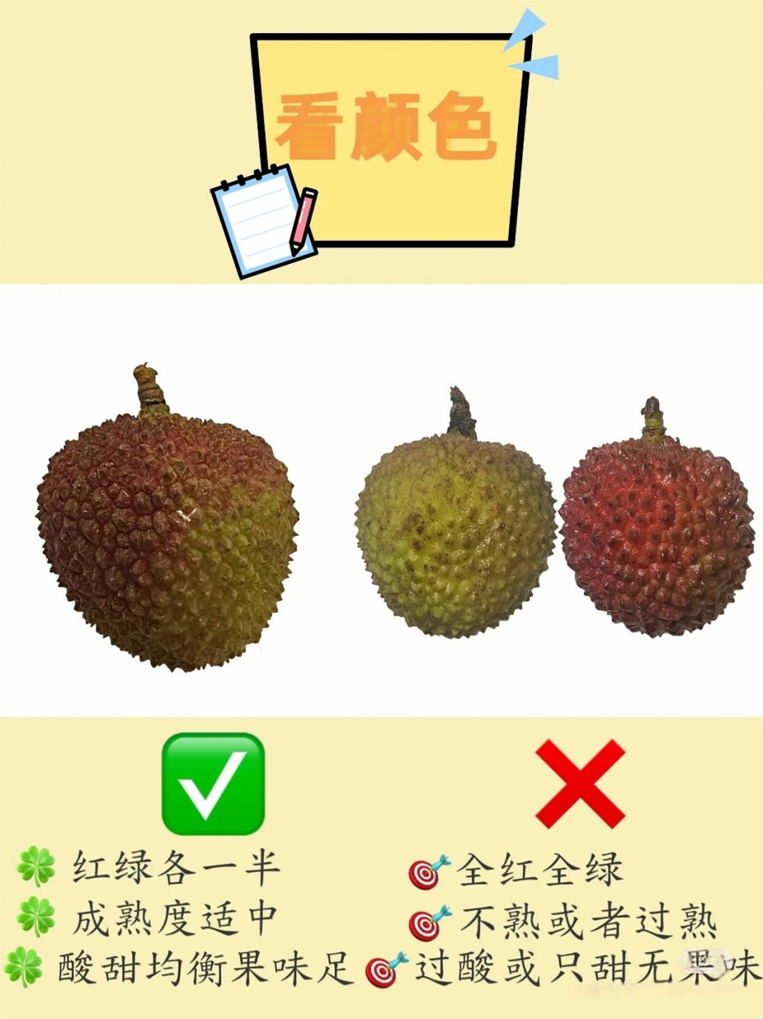 《长安的荔枝》播完了，今天来聊聊荔枝那些事儿