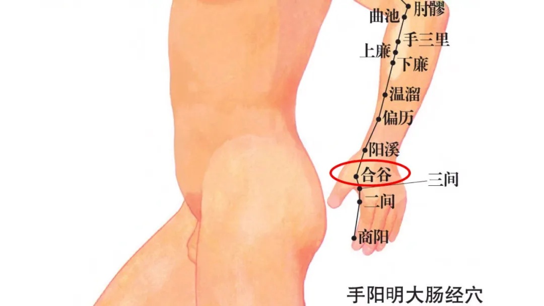 学学古人的8种养生方法