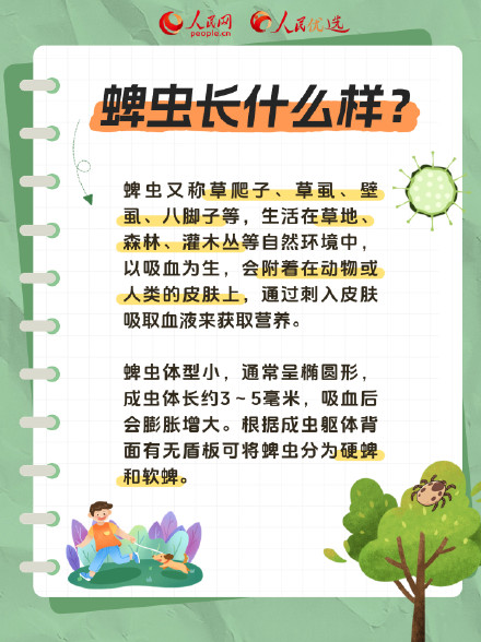 请查收!夏日防蜱虫指南 请查收!夏日防蜱虫指南