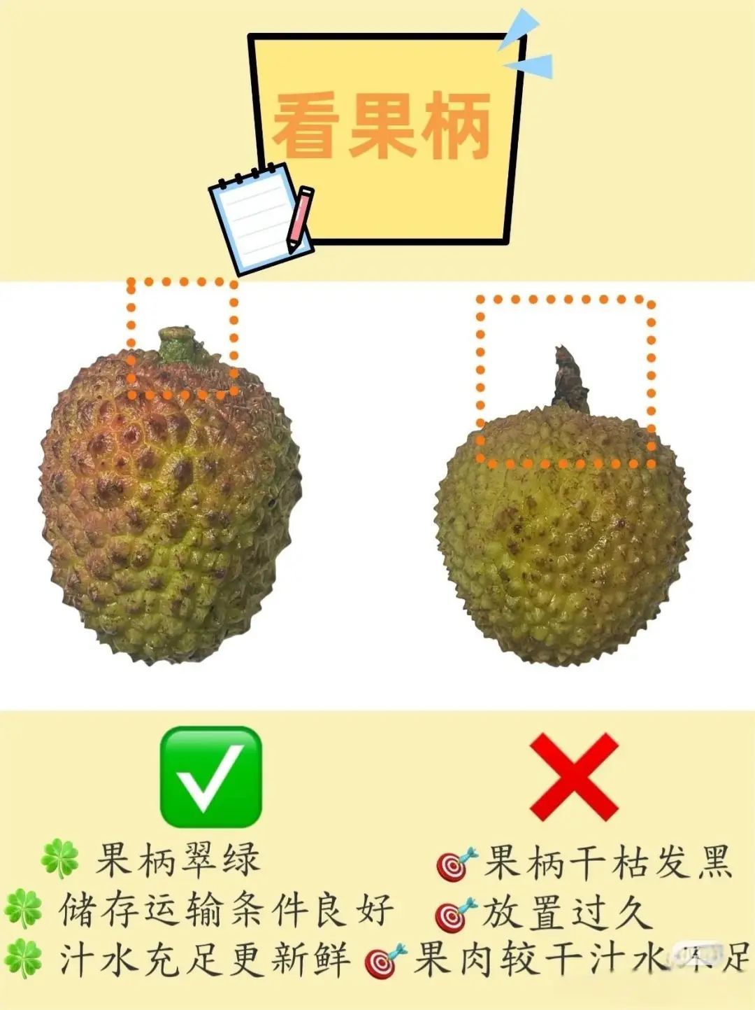 《长安的荔枝》播完了，今天来聊聊荔枝那些事儿