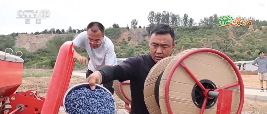 传统农业从“靠天吃饭”变“数据种田” 科技驱动“三夏”生产“加速跑”