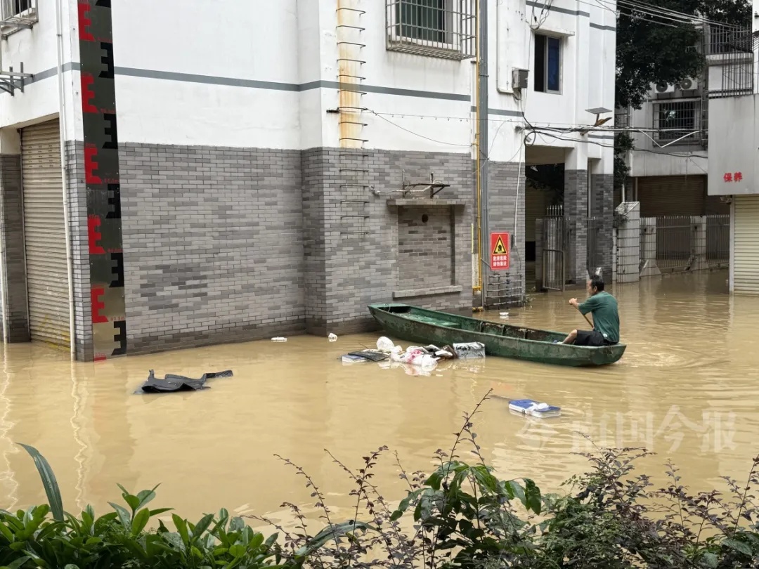 或将出现84米!强降雨持续!柳州市区河段水位再次超警 或将出现84米!强降雨持续!柳州市区河段水位再次超警