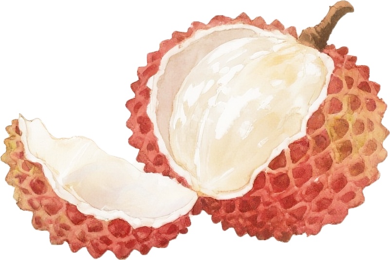 《长安的荔枝》没夸张，荔枝在古代真的超级名贵！