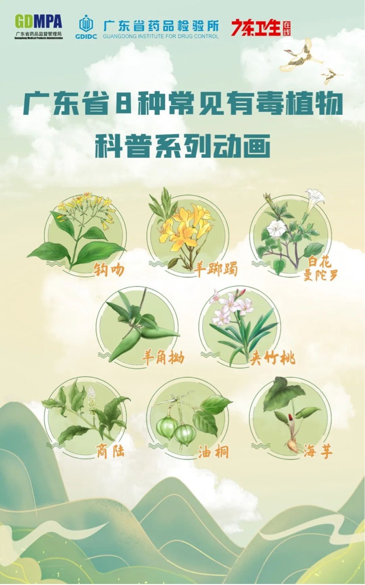 别摘！夏天在外这些植物碰不得