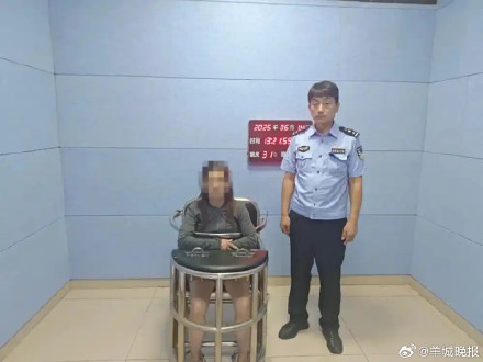 网民编造果树下现2尸体被罚 网民编造果树下现2尸体被罚