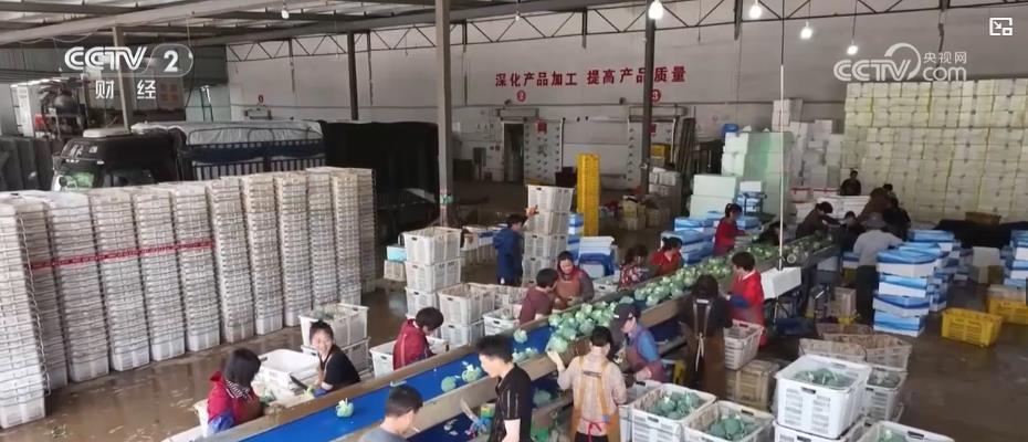 特色产业结硕果 丰收时节产销两旺