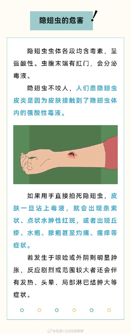 千万别拍！警惕“会飞的硫酸”隐翅虫