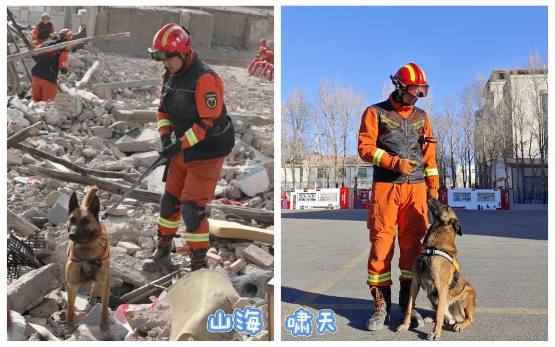 酒泉消防举行搜救犬退役暨领养交接仪式