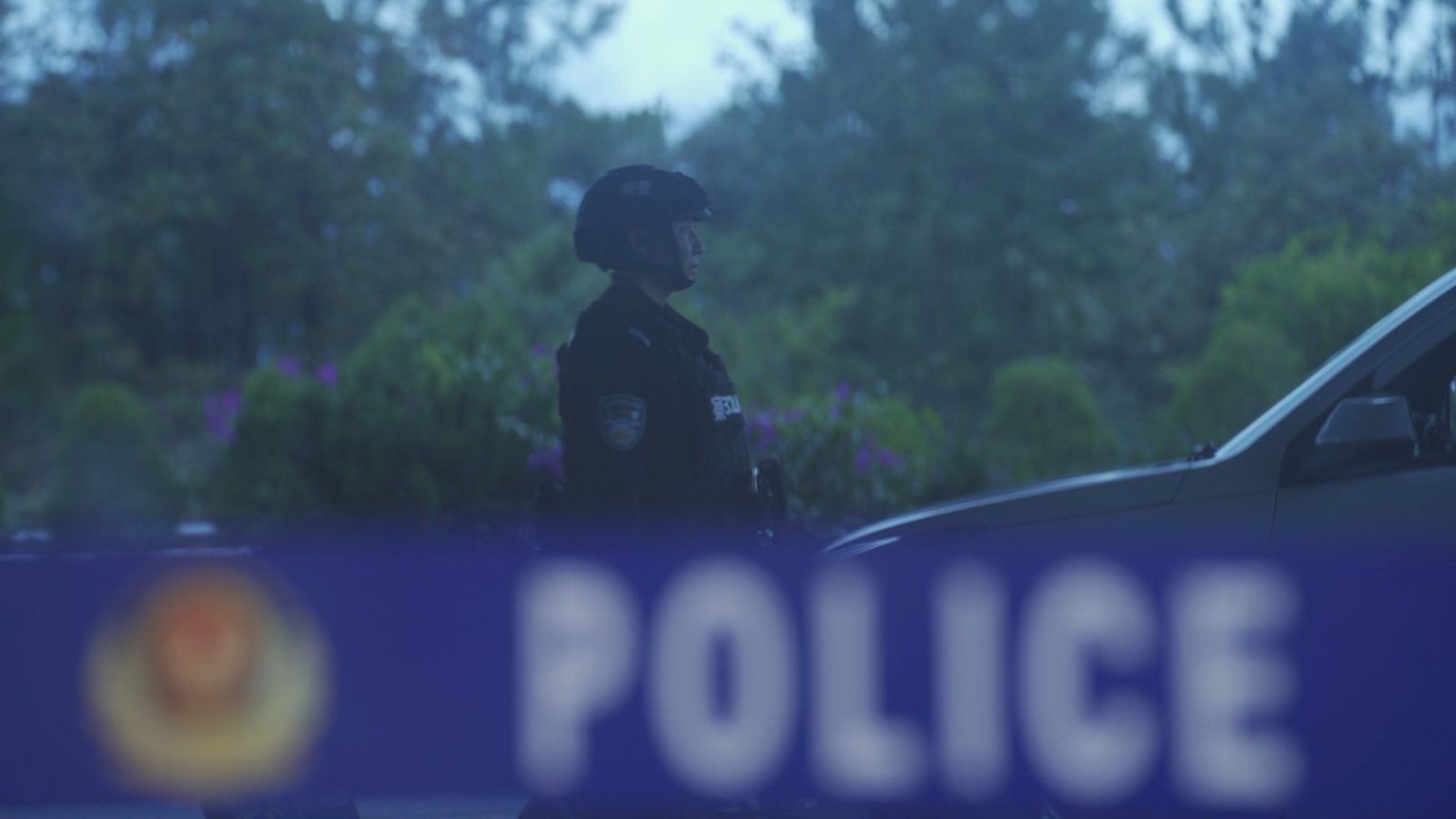 一等功女站长露脸缉毒 10余处伤疤记录生死瞬间 一等功女站长露脸缉毒 10余处伤疤记录生死瞬间