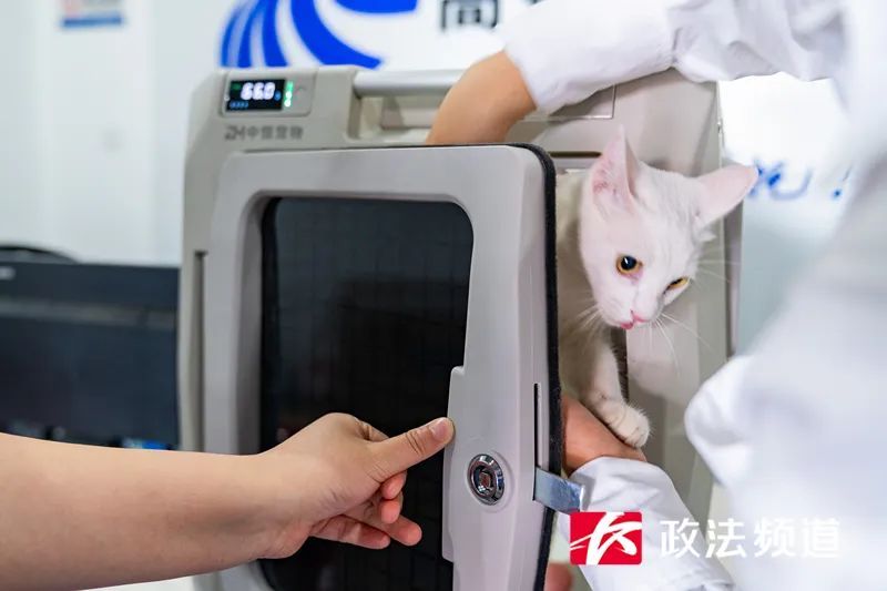 “毛孩子”也能坐高铁！长沙南站迎来首位宠物旅客