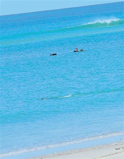 张军桥医生骨灰回到祖国 张军桥医生骨灰回到祖国