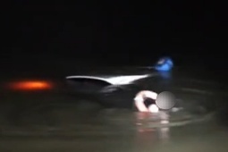 小车冲入池塘,司机紧急报警 小车冲入池塘,司机紧急报警