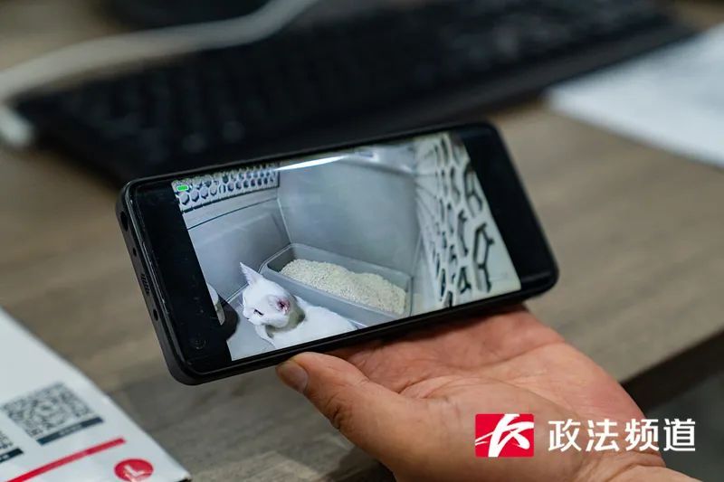 “毛孩子”也能坐高铁！长沙南站迎来首位宠物旅客