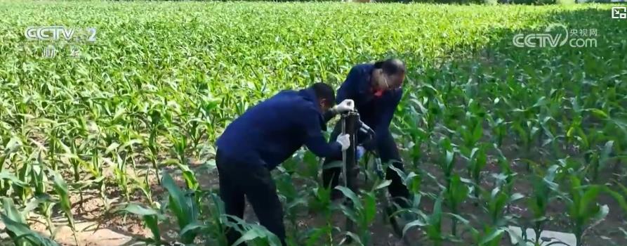 “耕地中的大熊猫”家底摸清!我国83个黑土地重点保护县地表基质调查完成 “耕地中的大熊猫”家底摸清!我国83个黑土地重点保护县地表基质调查完成