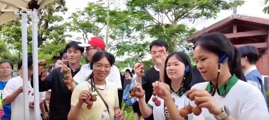 毕业游、亲子游、研学游……暑期旅游市场迎来新一轮消费热潮