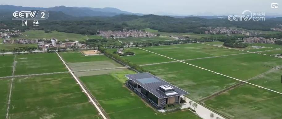 全国土地日丨从闲置地到丰收田 城市耕地实现生态经济效益双赢