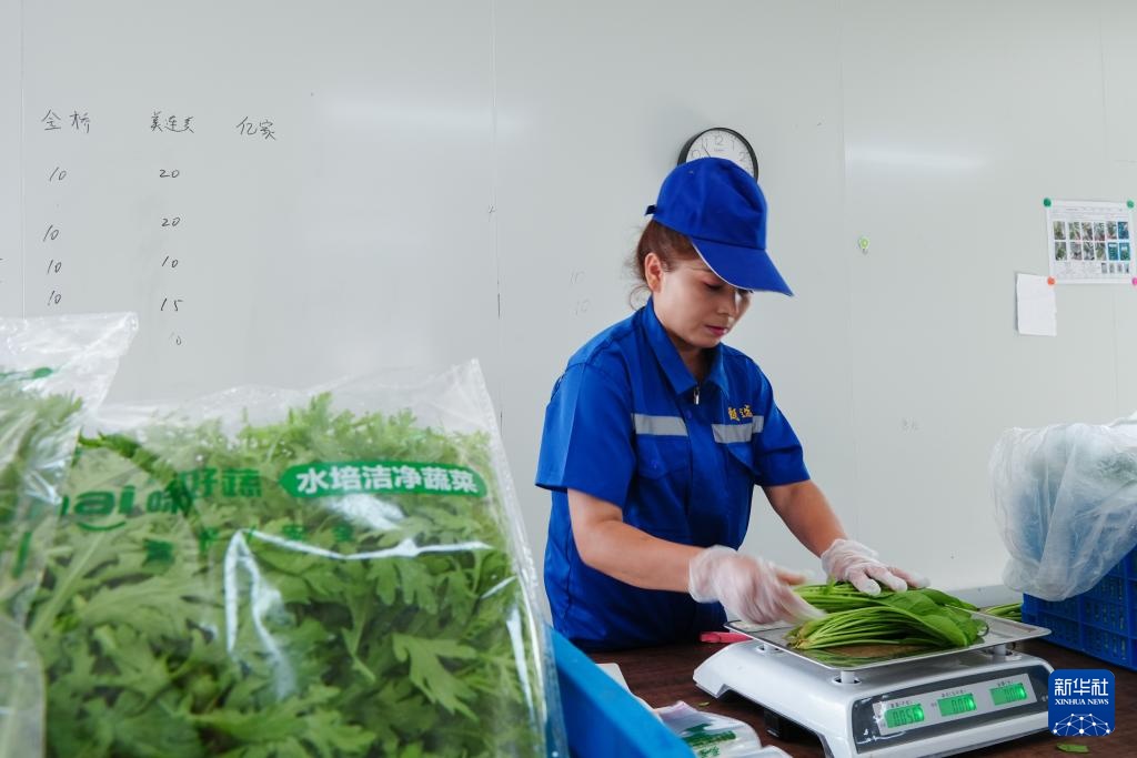 对口援疆助力戈壁兴建智慧农业植物工厂 对口援疆助力戈壁兴建智慧农业植物工厂