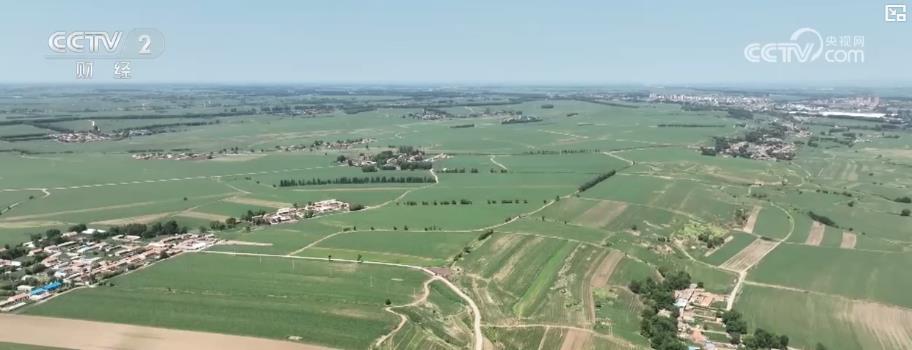 “耕地中的大熊猫”家底摸清!我国83个黑土地重点保护县地表基质调查完成 “耕地中的大熊猫”家底摸清!我国83个黑土地重点保护县地表基质调查完成