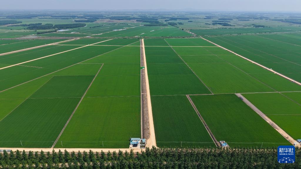 黑龙江垦区:“用养结合”保护黑土地 黑龙江垦区:“用养结合”保护黑土地