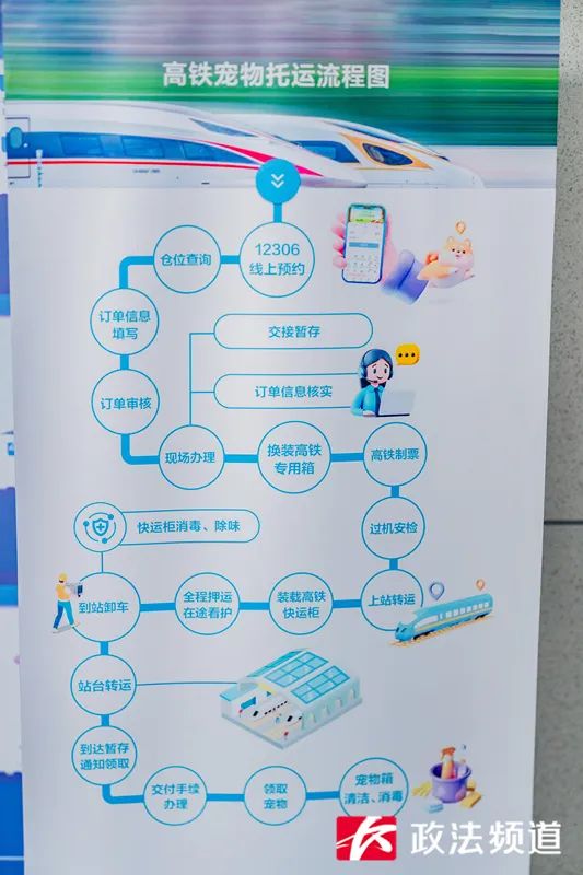 “毛孩子”也能坐高铁！长沙南站迎来首位宠物旅客