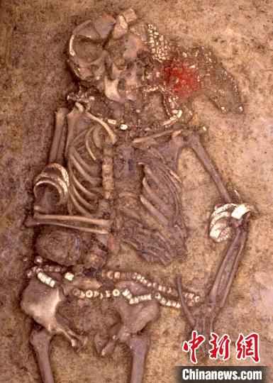 古DNA研究:六七千年前中欧喀尔巴阡盆地古人类有多样化社群 古DNA研究:六七千年前中欧喀尔巴阡盆地古人类有多样化社群