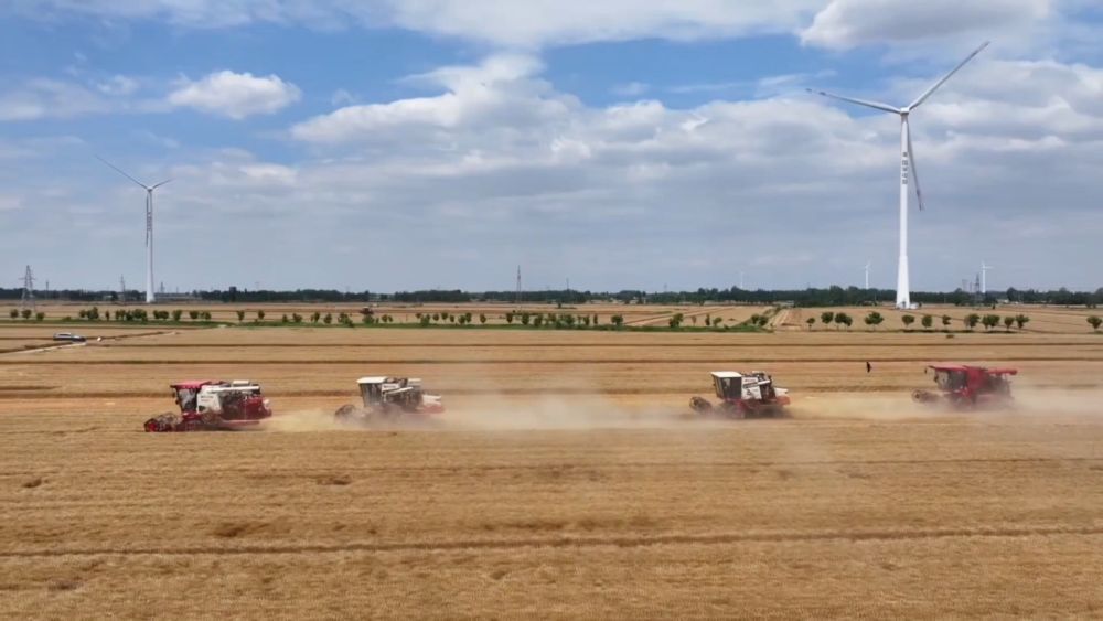 抢农时 护丰收 多维度保障“三夏”生产 抢农时 护丰收 多维度保障“三夏”生产