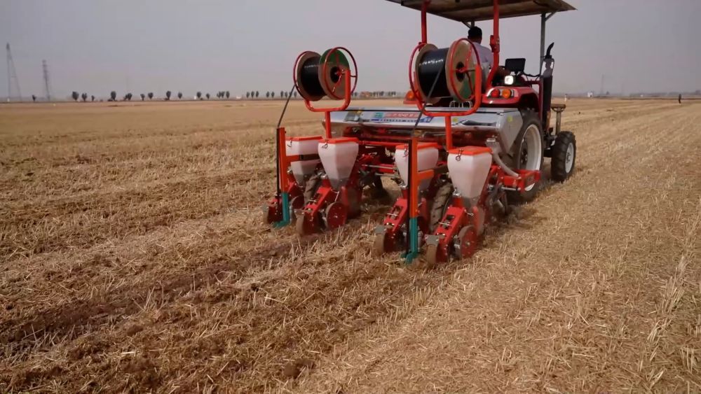 抢农时 护丰收 多维度保障“三夏”生产 抢农时 护丰收 多维度保障“三夏”生产